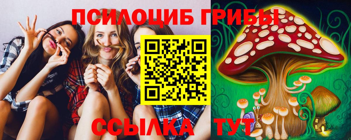 Псилоцибиновые грибы мухоморы  Вход с VPN  что такое   Таганрог 
