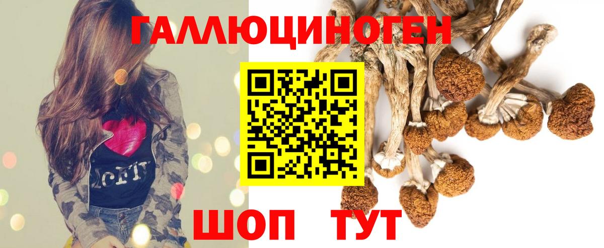 Галлюциногенные грибы Cubensis Таганрог